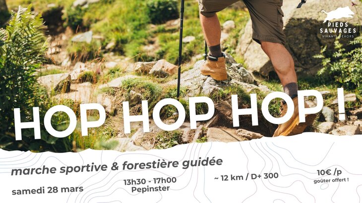 Loisirs Hop Hop marche sportive forestière guidée