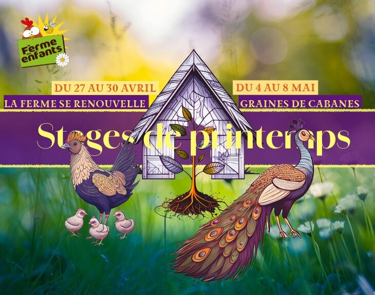 Stages,cours Stages printemps