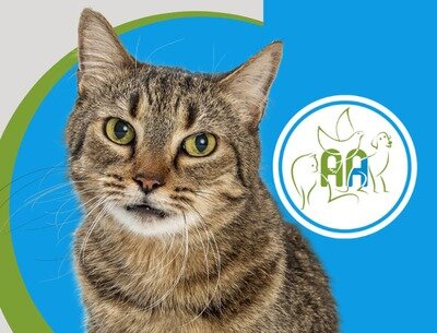 Loisirs Les Amis Animaux - Journée Portes Ouvertes