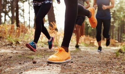 Loisirs La Ronde Tortues Meslinoises