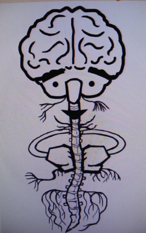 Conférences Cycle d approfondissement théorie polyvagale/nerf vague groupe fermé