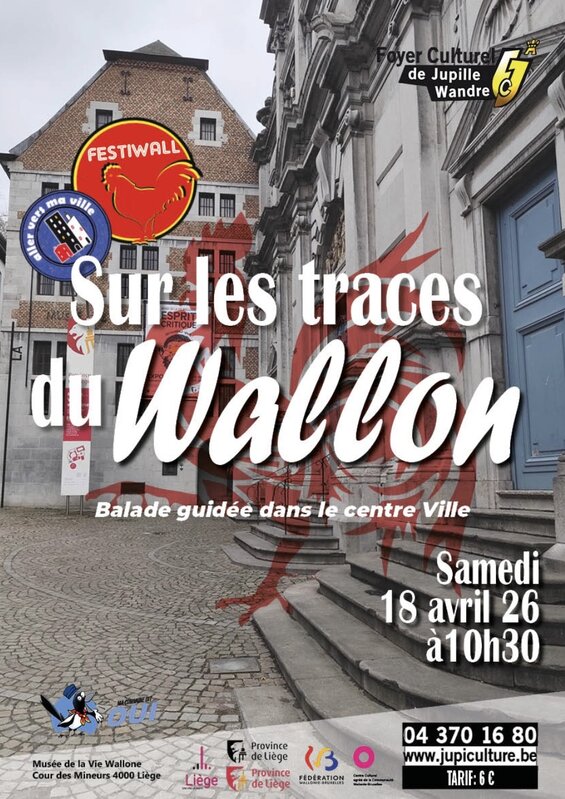 Loisirs Sur traces wallon dans centre ville Balade Guidée