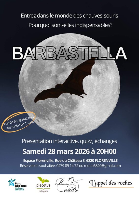 Conférences Barbastella , entrez dans monde chauves-souris