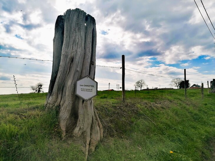 Loisirs Echappée verte : Balade entre nature nouvelles voies douces