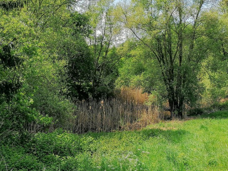 Loisirs Echappée verte : Entre Forêts Château : parenthèse enchantée