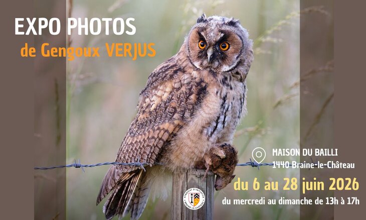 Expositions Expo Photos Gengoux Verjus