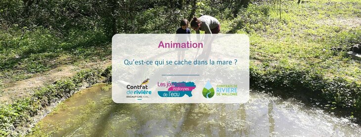 Loisirs Qu’est-ce se cache dans mare ?