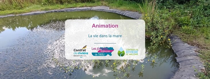 Loisirs La dans mare