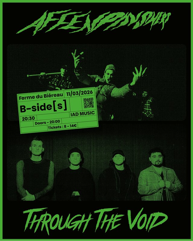 Concerts B-side[s] - Affenpinshers Through Void