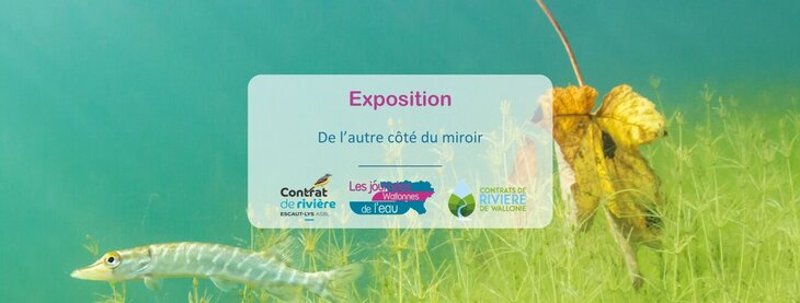 Expositions De l’autre côté miroir