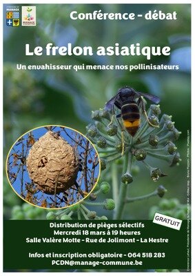 Conférences Conférence-débat : frelon asiatique