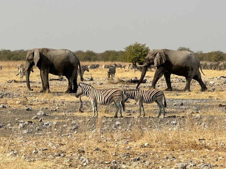 Conférences Exploration Monde Namibie  «exceptionnelle nature »