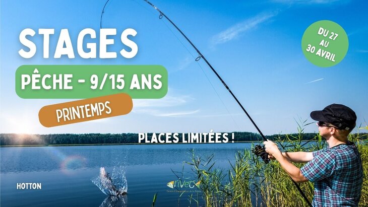 Stages,cours ̂      ̂