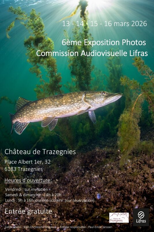 Expositions 6ème édition d exposition d images sous-marines la - Lifras