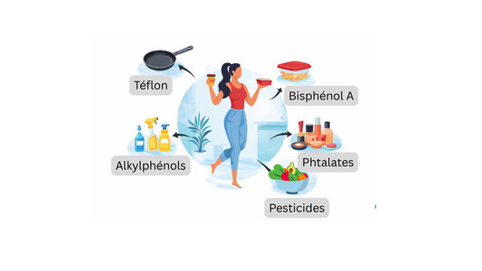 Conférences Conférence perturbateurs endocriniens