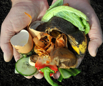 Stages,cours Formation Compostage