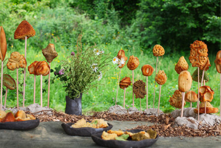 Expositions PORTÉS LE VENT