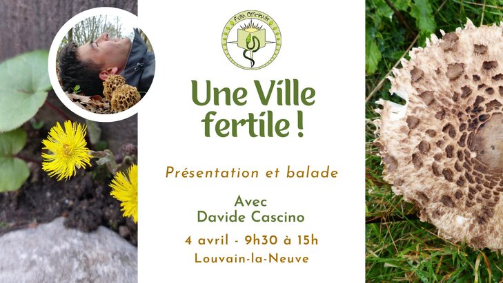 Loisirs La ville fertile ! Découvrir nature discrète sein villes