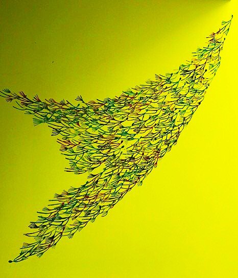 Expositions Exposition