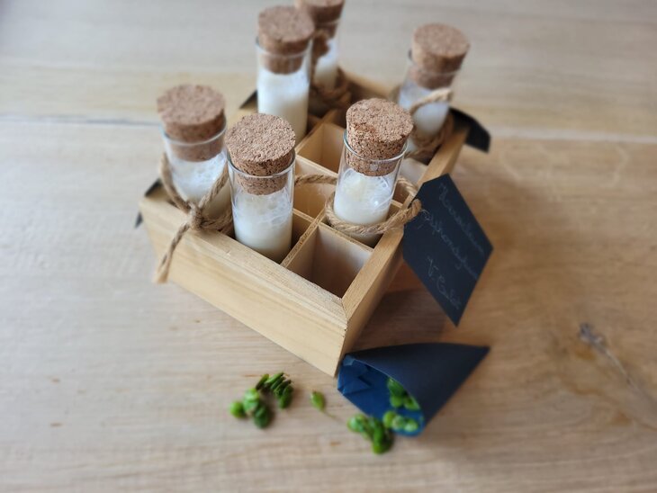 Stages,cours Atelier cuisine  Cocktails sauvages 