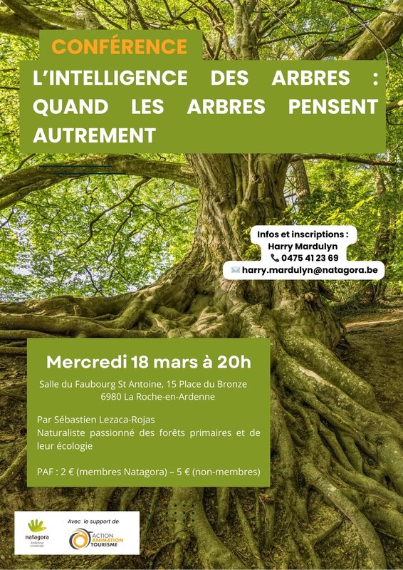 Conférences Conférence - L’intelligence arbres : Quand arbres pensent autrement