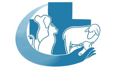 Loisirs Marche canine caritative profit vétérinaire sans frontière