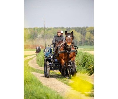 Loisirs Rallye équestre la Saint-Georges
