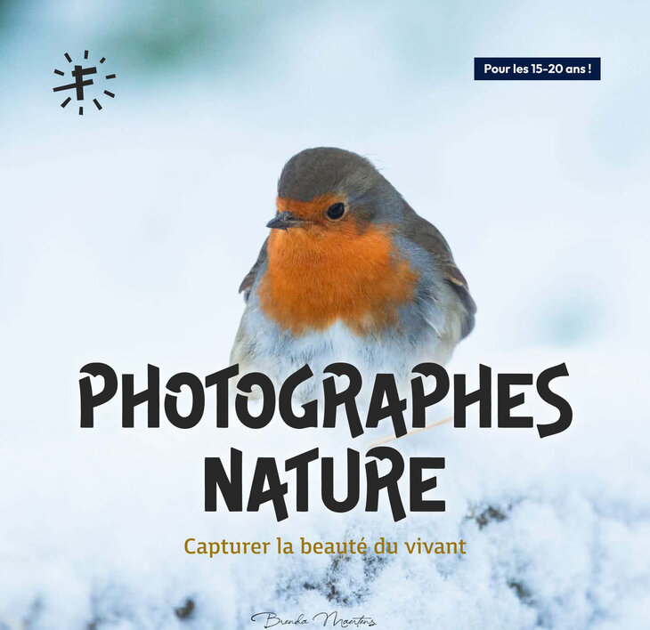 Stages,cours Photographes nature