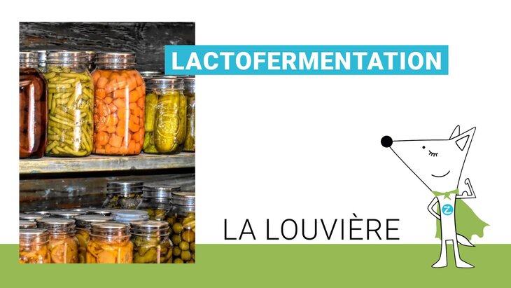Stages,cours Atelier lactofermentation