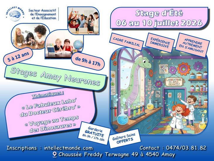 Stages,cours Stage d été