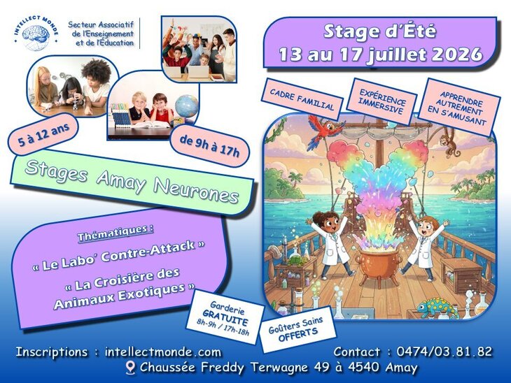 Stages,cours Stage d été