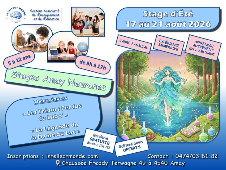 Stages,cours Stage d été