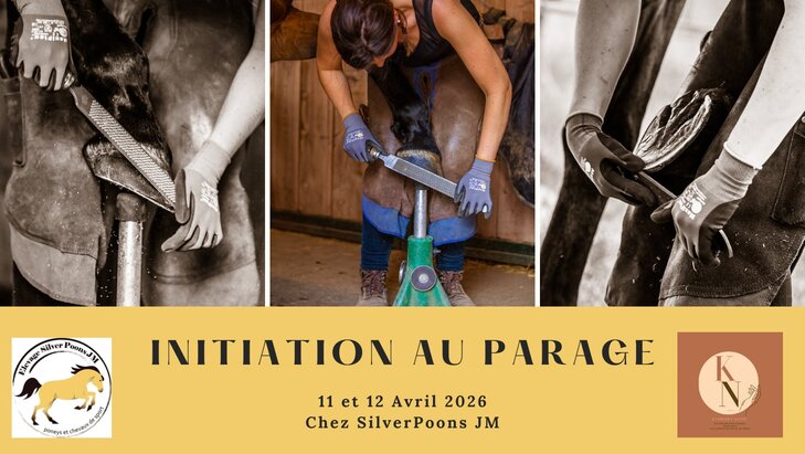 Stages,cours Stage parage naturel avec Kathleen Notte