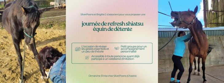 Stages,cours Journée refresh shiatsu équin détente