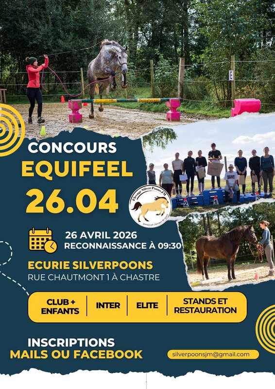Stages,cours Concours équifeel
