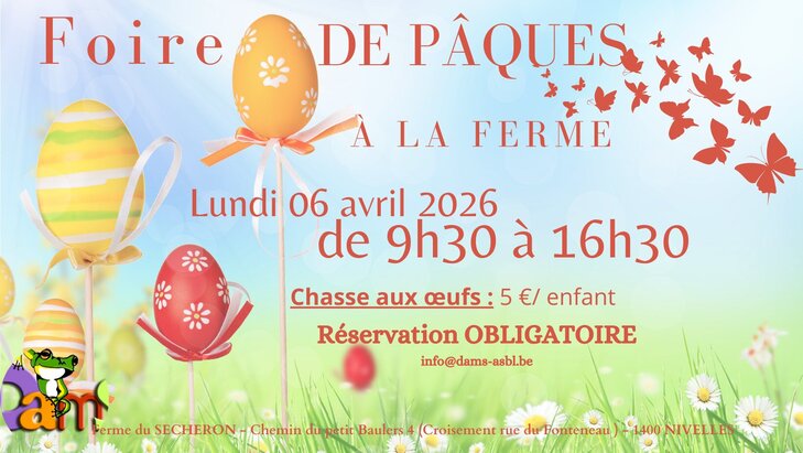 Loisirs Chasse oeufs