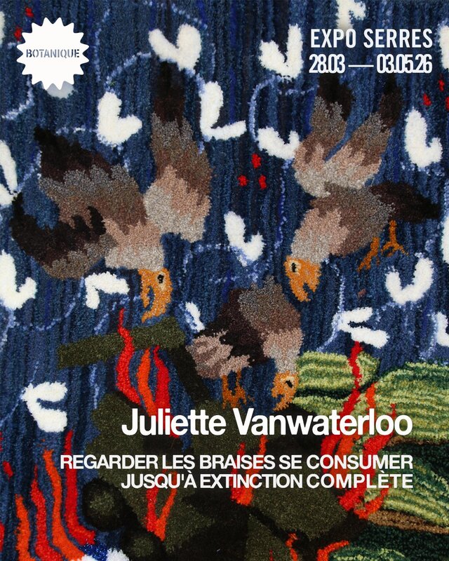 Expositions Regarder braises consumer jusqu à extinction complète