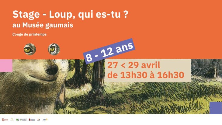 Stages,cours Stage - Loup es-tu?