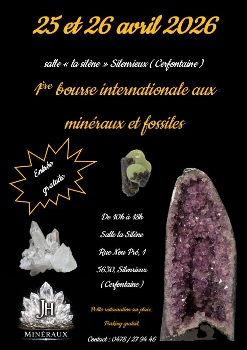 Loisirs Bourse internationale minéraux fossiles