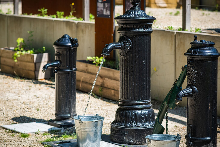 Expositions Entrée gratuite premier dimanche mois