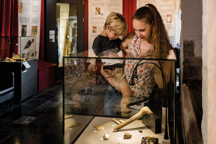 Expositions train vapeur Maldegem-Eeklo