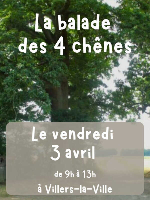 Loisirs Balade nature guidée : 4 chênes