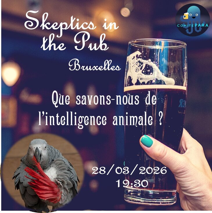 Conférences Que savons nous l intelligence animale ?