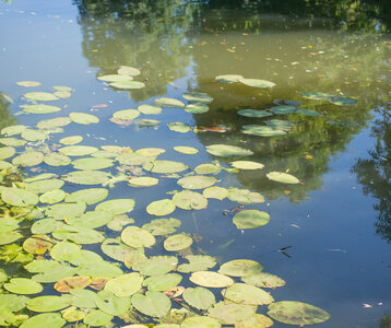 Loisirs Création d’une mare