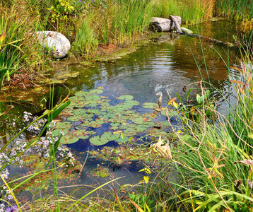 Stages,cours Formation Mare