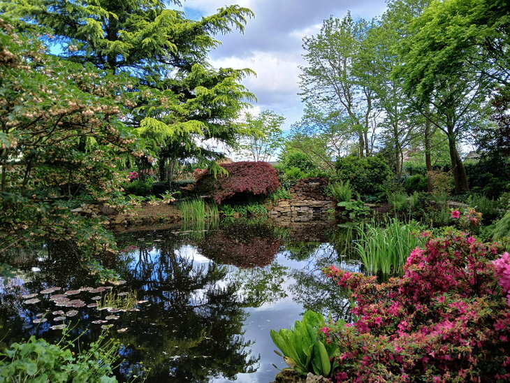 Loisirs Visite jardin privé Mr Mme Klein - Jardins Pays Liège