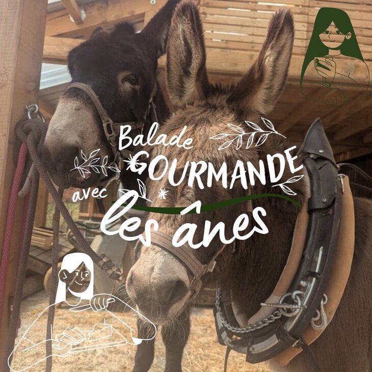 Loisirs Balades gourmandes avec animaux travail