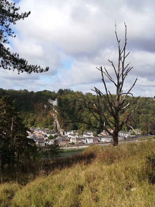 Loisirs Balade guidée la réserve naturelle Devant-Bouvignes