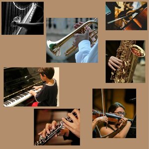 Spectacles Tous scène !