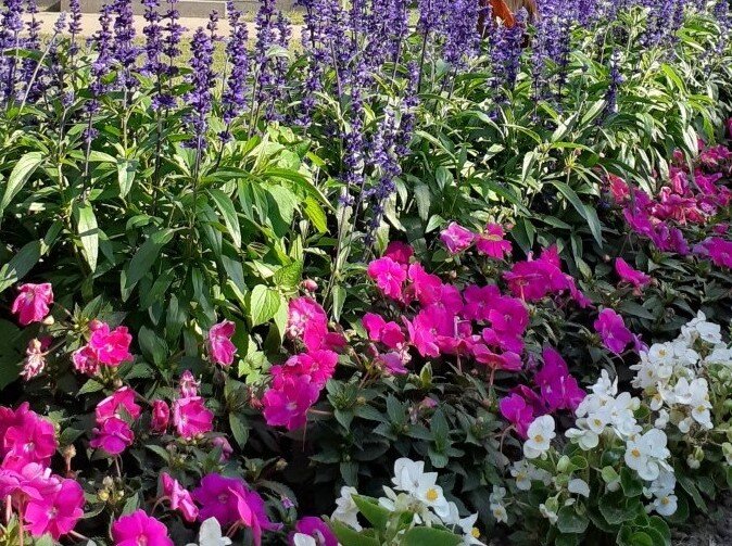 Concerts Concert la Passion